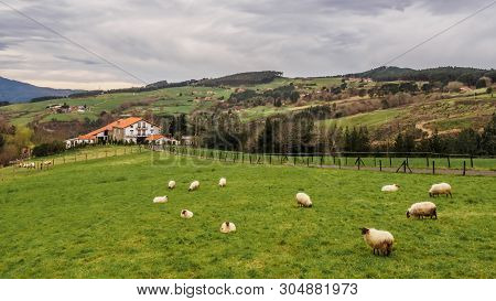 Farm House Of The Basque Country With A Flock Of Sheep On A Cloudy Day