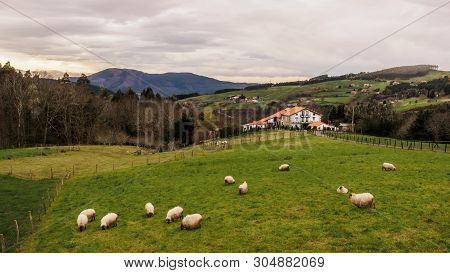 Farm House Of The Basque Country With A Flock Of Sheep On A Cloudy Day