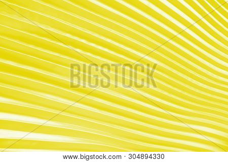 Natural Texture Of Pleated Fabric, Yellow Vibrant Summer Color Abstract Background