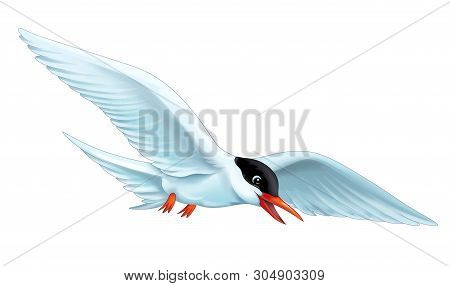 Cartoon Scene With Flying Bird Tern Isolated On White Background Illustration For Children