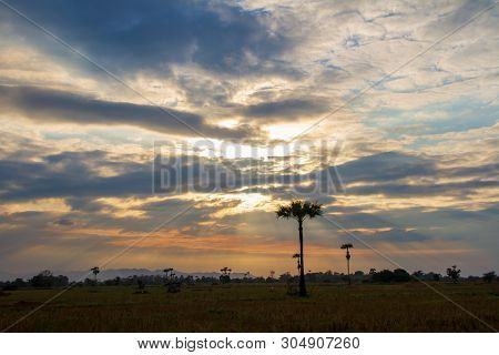 Evening Weather In The Field, Golden Cloud And Sky With Sun Light Are Shone Through The Clouds Look