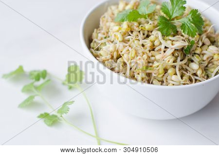 Mung Beans Salad On White Background, In A Deep Plate