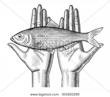 Woman's hands couple holding a herring fish on her palms. Vintage engraving stylized drawing