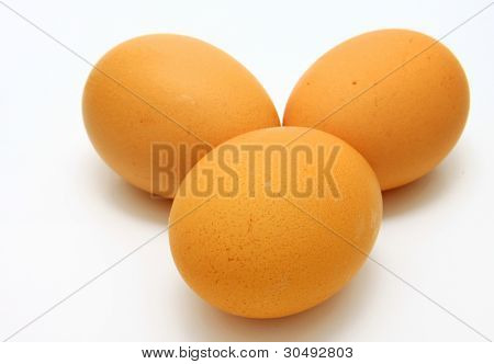 Egg