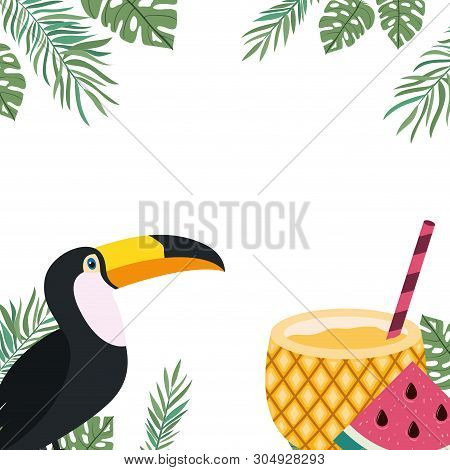 Pattern Of Toucan And Summer Flower Vector Illustration Design