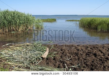 プレシチェエボ湖湖畔の夏の時間