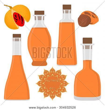 Illustration On Theme Big Set Different Types Nutmeg Oil, Bottles Various Size. Nutmeg Pattern Consi