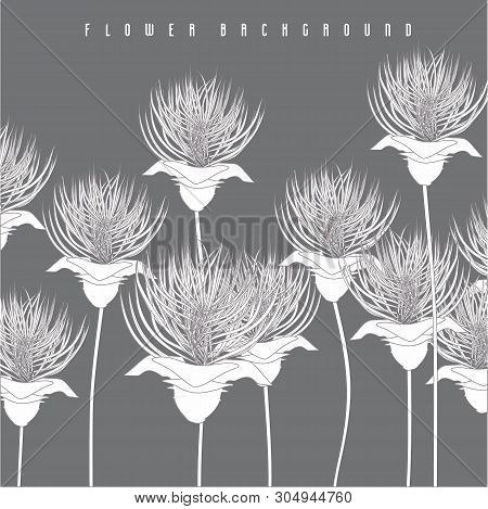 Decorative Composition With White Chrysanthems On Grey Background.