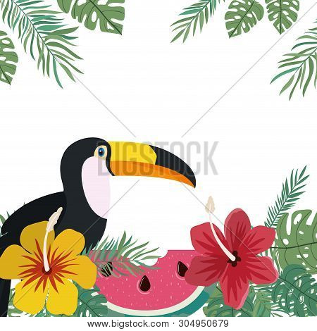 Pattern Of Toucan And Summer Flower Vector Illustration Design