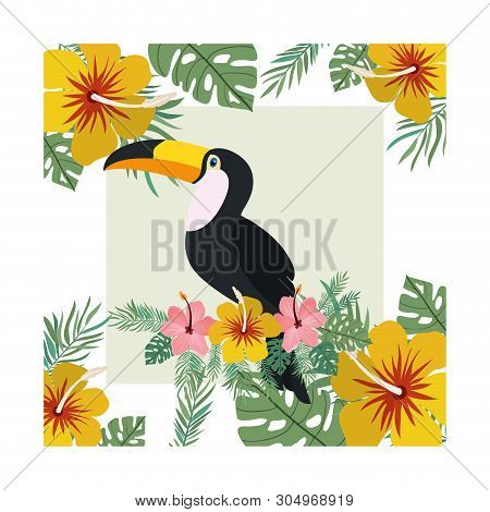 Pattern Of Toucan And Summer Flower Vector Illustration Design