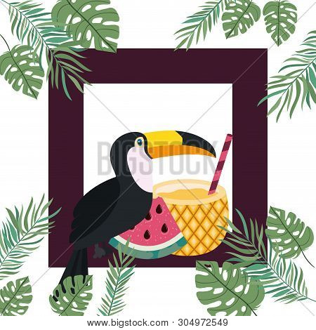 Pattern Of Toucan And Summer Flower Vector Illustration Design