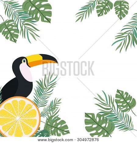 Pattern Of Toucan And Summer Flower Vector Illustration Design
