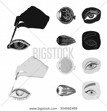 Vector Illustration Of Medical And Eyeball Sign. Set Of Medical And Optical Stock Vector Illustratio