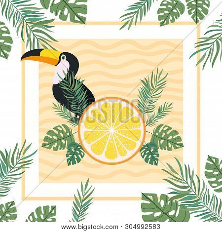 Pattern Of Toucan And Summer Flower Vector Illustration Design