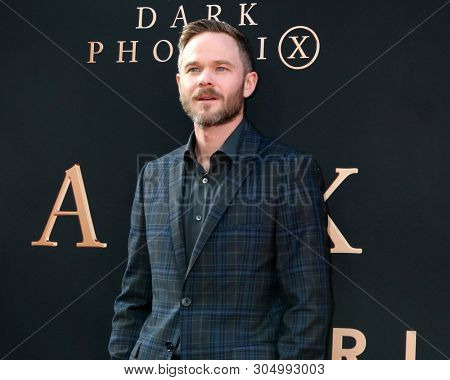 LOS ANGELES - JUN 4:  Shawn Ashmore at the 