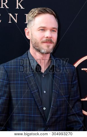 LOS ANGELES - JUN 4:  Shawn Ashmore at the 