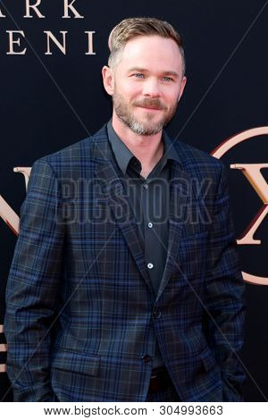 LOS ANGELES - JUN 4:  Shawn Ashmore at the 