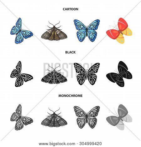 Vector Design Of Color And Spring Icon. Collection Of Color And Fly Vector Icon For Stock.