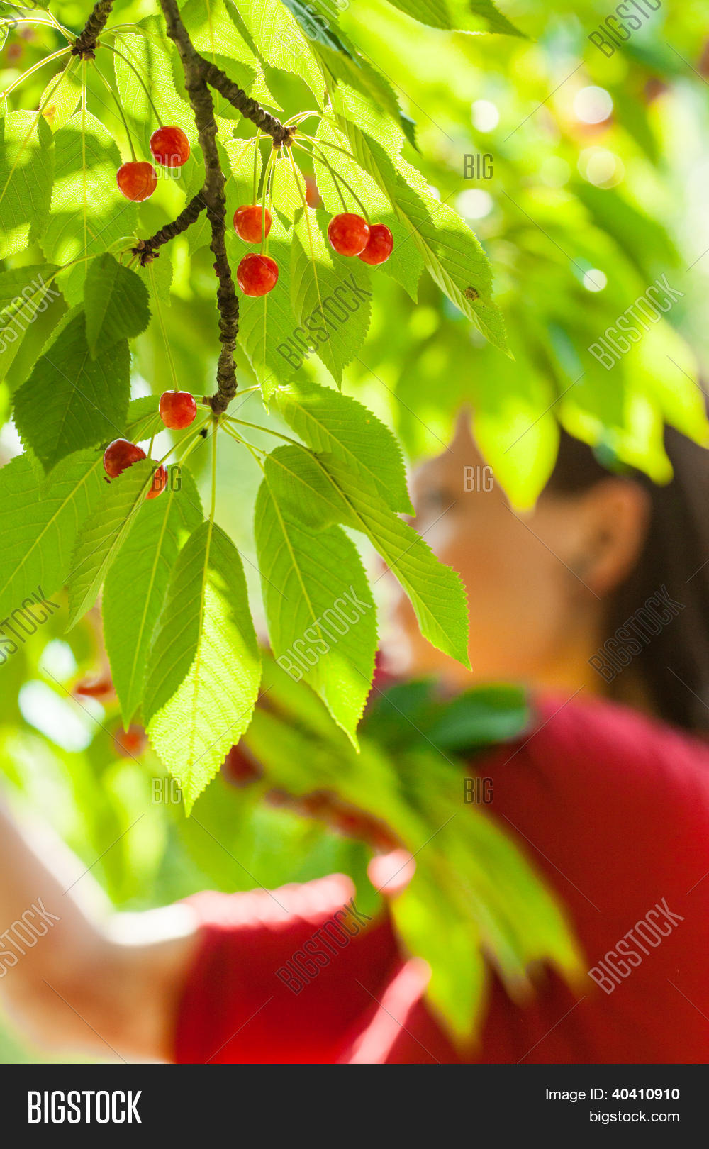 Image Preview