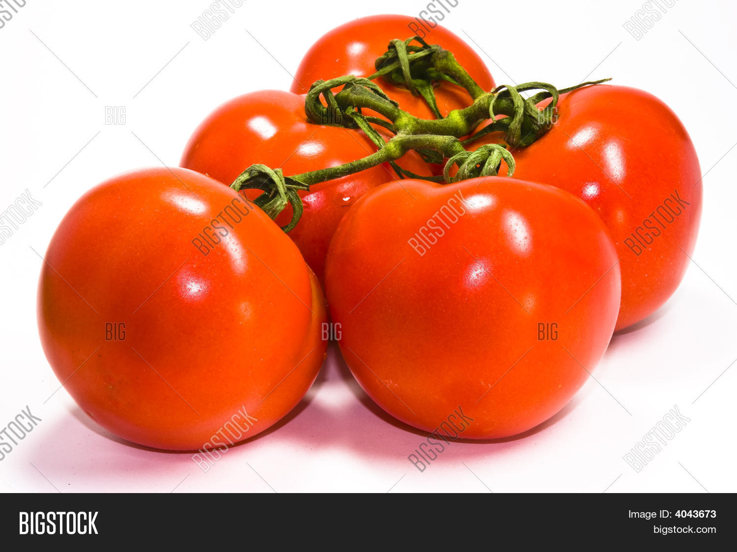 Image Preview