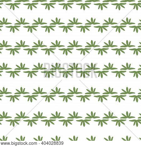 Seamless Pattern With Horizontal Stripes Of Thymes Leaves. Green Leaves On White Background.