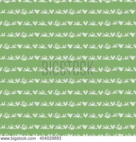 Horizontal Stripes Of Thyme Leaves. White Leaves Line Art On Green Background.