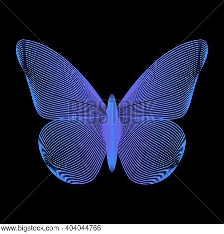 Beautiful Blue Butterfly On The Black Background.