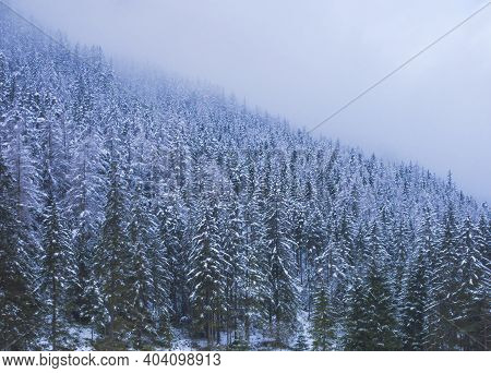 Beautiful Winter Landscape With Snowy Trees Near Green Lake (gruner See) Famous Tourist Destination 