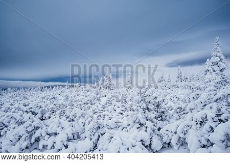 Krokonose Mountains Is Located In Northeastern Bohemia And In The South Of The Polish Part Of Silesi