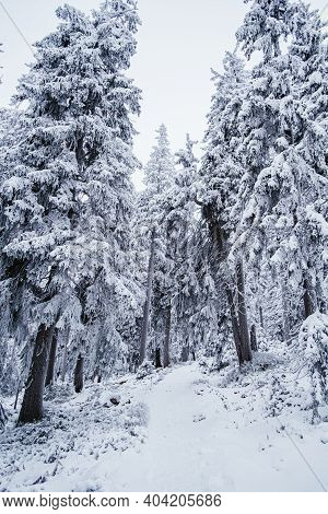 Krokonose Mountains Is Located In Northeastern Bohemia And In The South Of The Polish Part Of Silesi