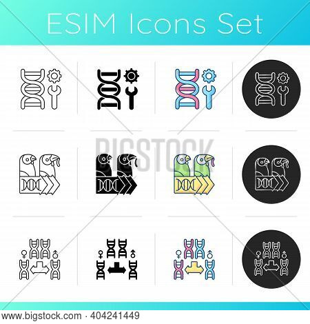 Genetics Icons Set. Chromosome Division. Evolutionary Genetics. Biotechnology Experiment. Dna Manupi