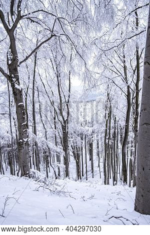 Bezdez Castle Is A Gothic Castle Located Some 20 Kilometres Southeast Of Ceska Lipa, In The Liberec 