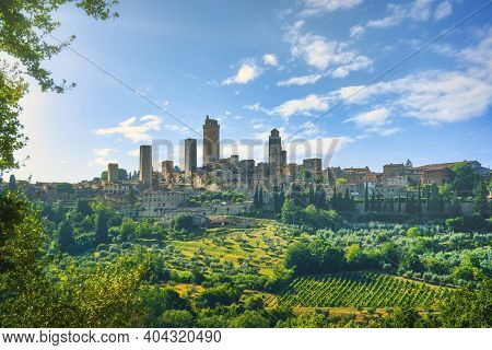 Panoramic View Of Countryside Chianti And Vernaccia Vineyards. San Gimignano. Tuscany, Italy, Europe