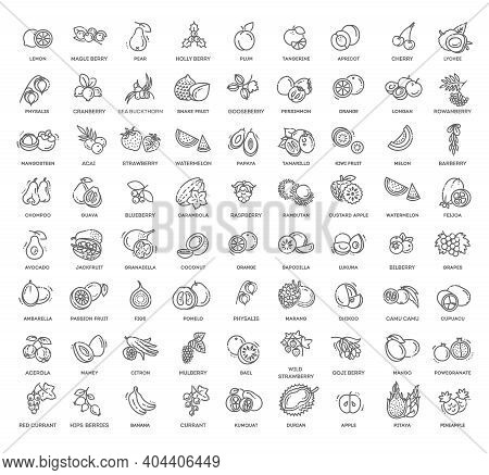 Fruits And Berries Vector Icons. Fresh And Natural Ingredients