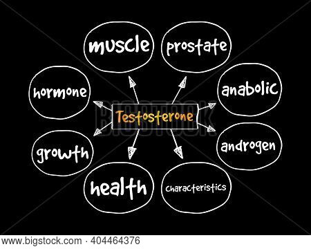 Testosterone Mind Map, Medical Concept For Presentations And Reports