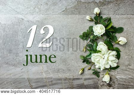 June 12nd. Day 12 Of Month, Calendar Date. Stylish Roses Flat Lay. White Roses Border On Pastel Grey