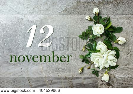 November 12nd. Day 12 Of Month, Calendar Date. Stylish Roses Flat Lay. White Roses Border On Pastel 