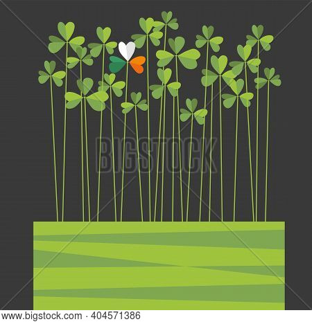 St. Patrick's Day Design With Tall Shamrocks. One Shamrock With Flag Colors Of Ireland. Space For Te