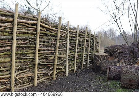 Natural Hedge From Dead Wood Benjes Hedge