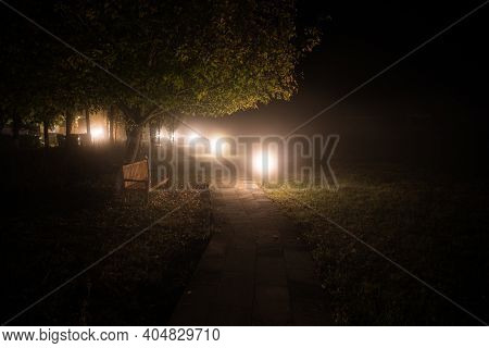 Trees And Street Lamps On A Quiet Foggy Night. Foggy Misty Evening Lamps In Empty Road.