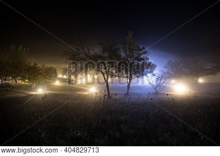 Trees And Street Lamps On A Quiet Foggy Night. Foggy Misty Evening Lamps In Empty Road.