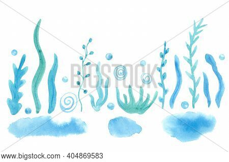 Set With Watercolor Spots, Illustration Of Seaweed, Shells, Bubbles Or Pearl. Great For Design Of Pa