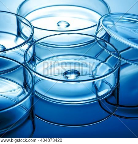 Clean Glass Petri Dish With Liquid Drop Inside Over Blue Light Background