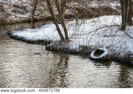Bitsa River In The Suburbs, Light Snow Bushes, Old Tire, Ecology