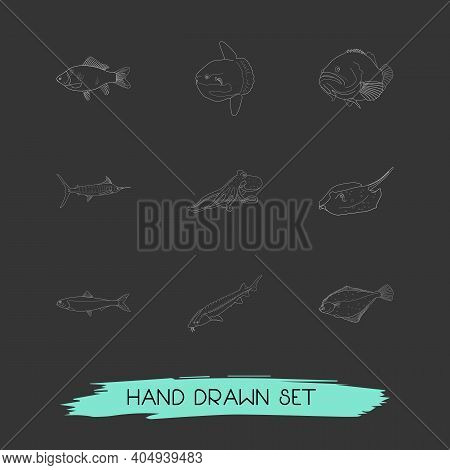 Set Of Fauna Icons Line Style Symbols With Flatfish, Moon Fish, Turbot And Other Icons For Your Web 