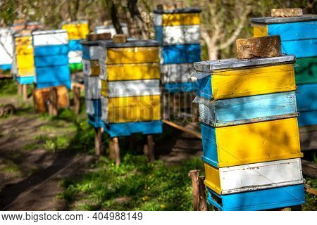 Colorful Wooden And Plastic Hives Against Blue Sky In Summer. Apiary Standing In Yard On Grass. Cold