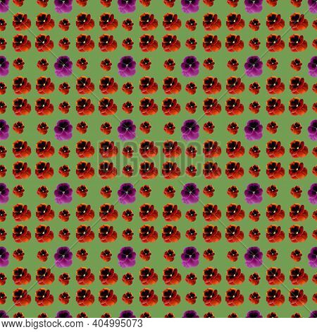 Watercolor Seamless Colorful Pansies Flowers Pattern