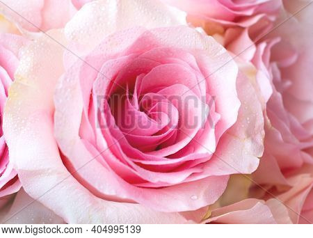 Festive Floral Background. Biophilic Design Or Colors Of Nature. Mood Boosting Color.  Template Mock