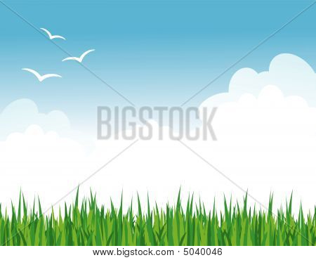 Green Grass Against Blue Sky