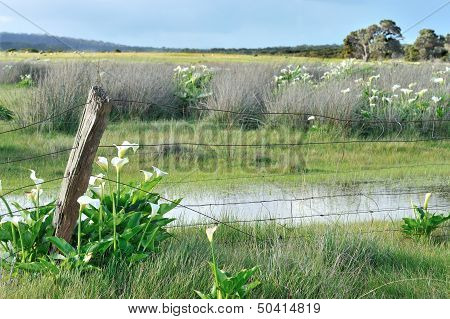 No Defence Against The Invader